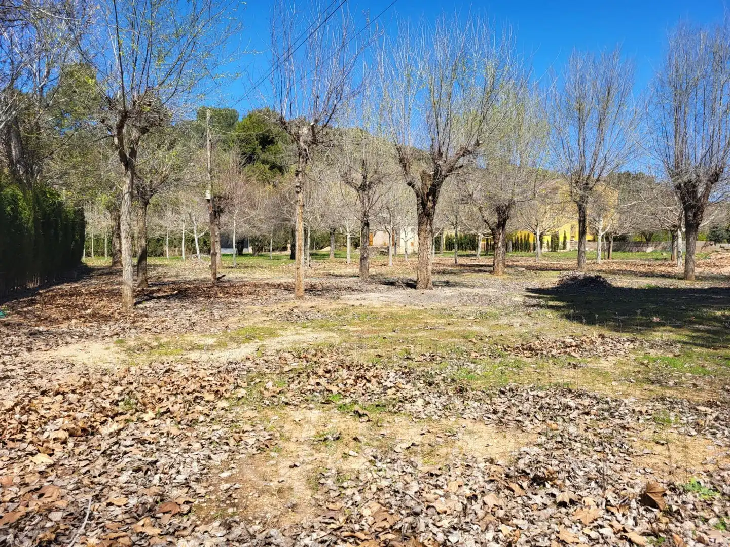 Land for sale in Ruidera