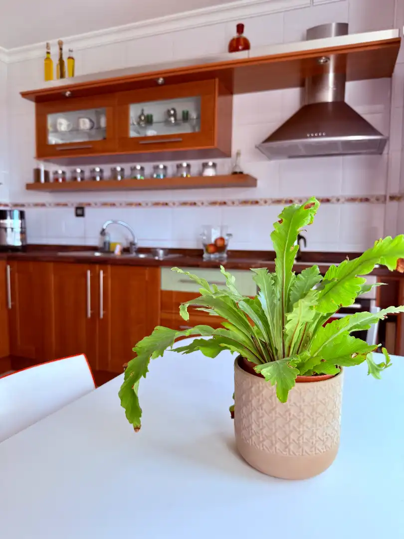 Kitchen of Flat for sale in Telde  with Terrace and Storage room