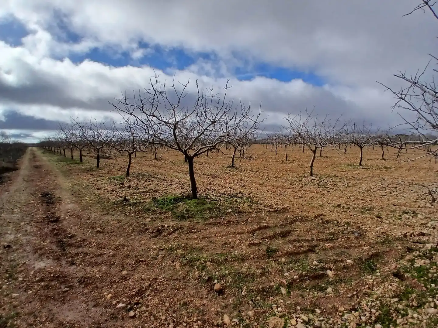 Rural land for sale in Carretera Solana, imagen 32