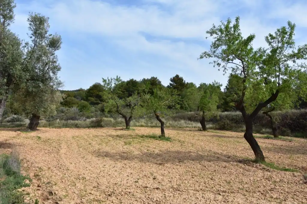 Country homes for sale in Ráfales