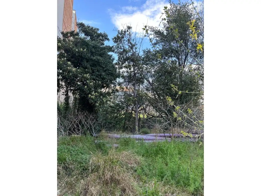 Terreny residencial en venda a Calle Abat Muntadas