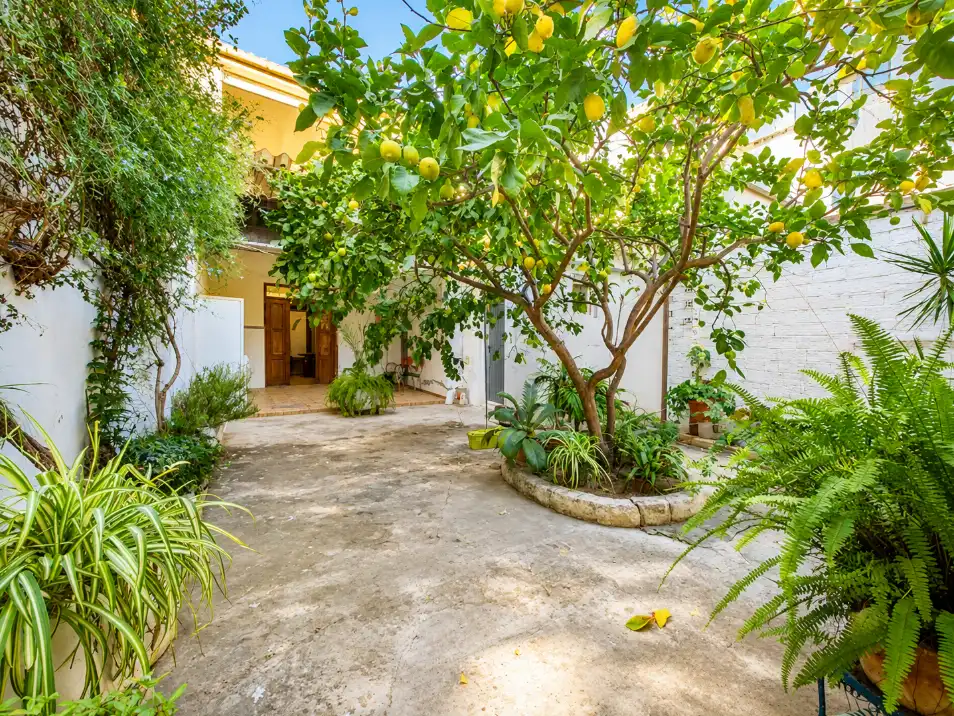 Casa amb jardí en venda a Avinguda Reis Catòlics