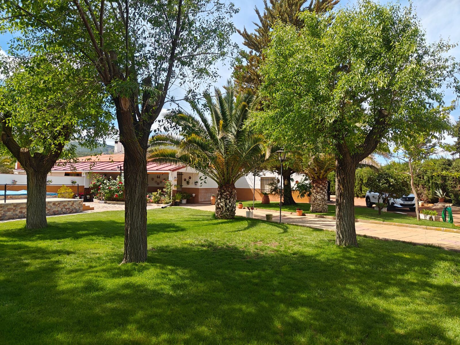 Jardín de Finca rústica en venta en Puertollano con Aire acondicionado, Jardín privado y Piscina