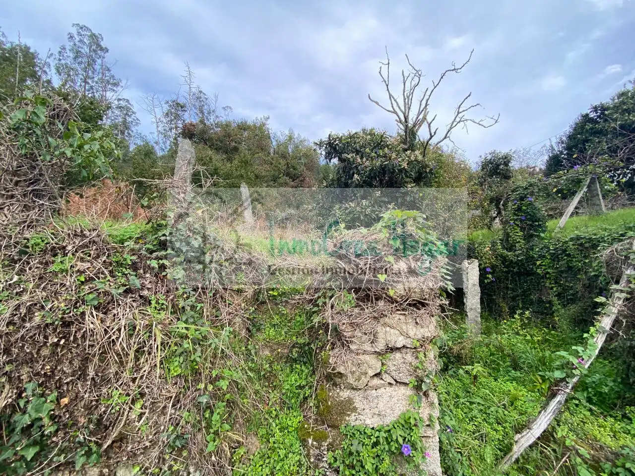 Terrenys i solars en venda a Ponteareas, imagen 3