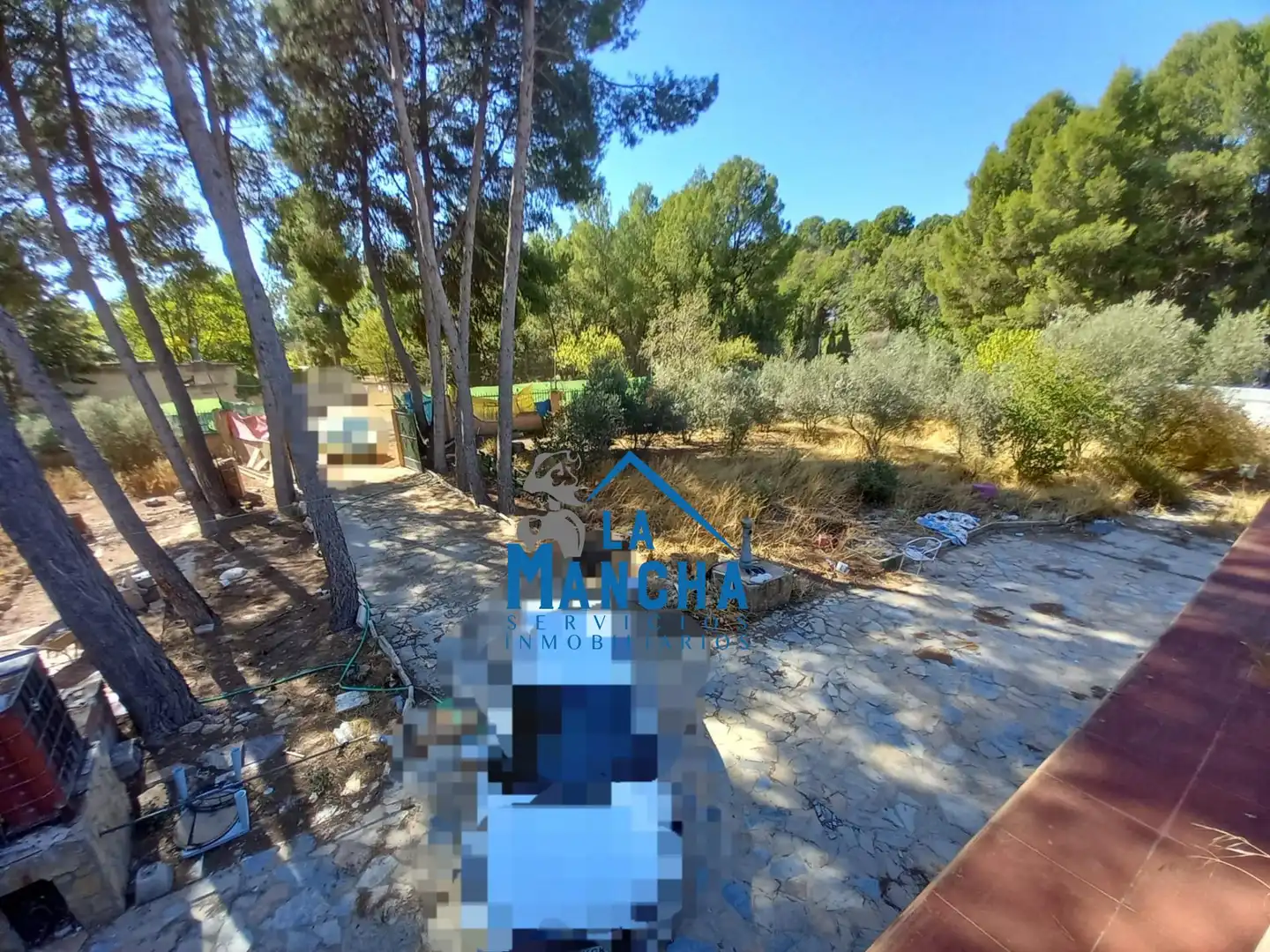 Finca rústica en venda en Albacete amb Jardí privat, Terrassa i Traster