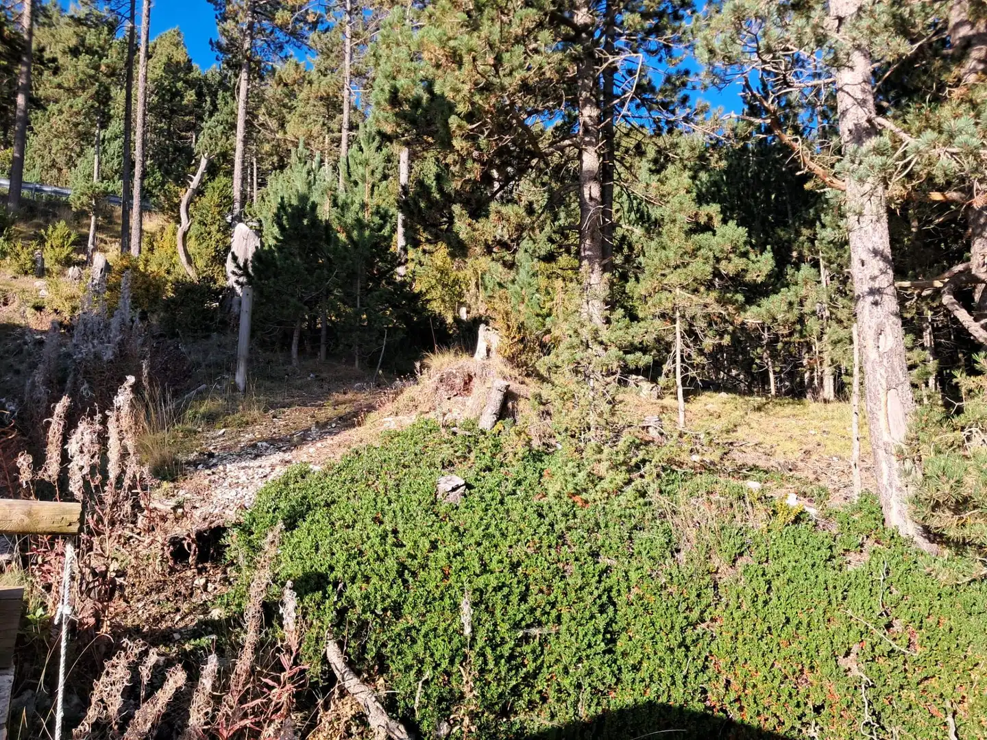 Residential zum Verkauf in La Coma i la Pedra