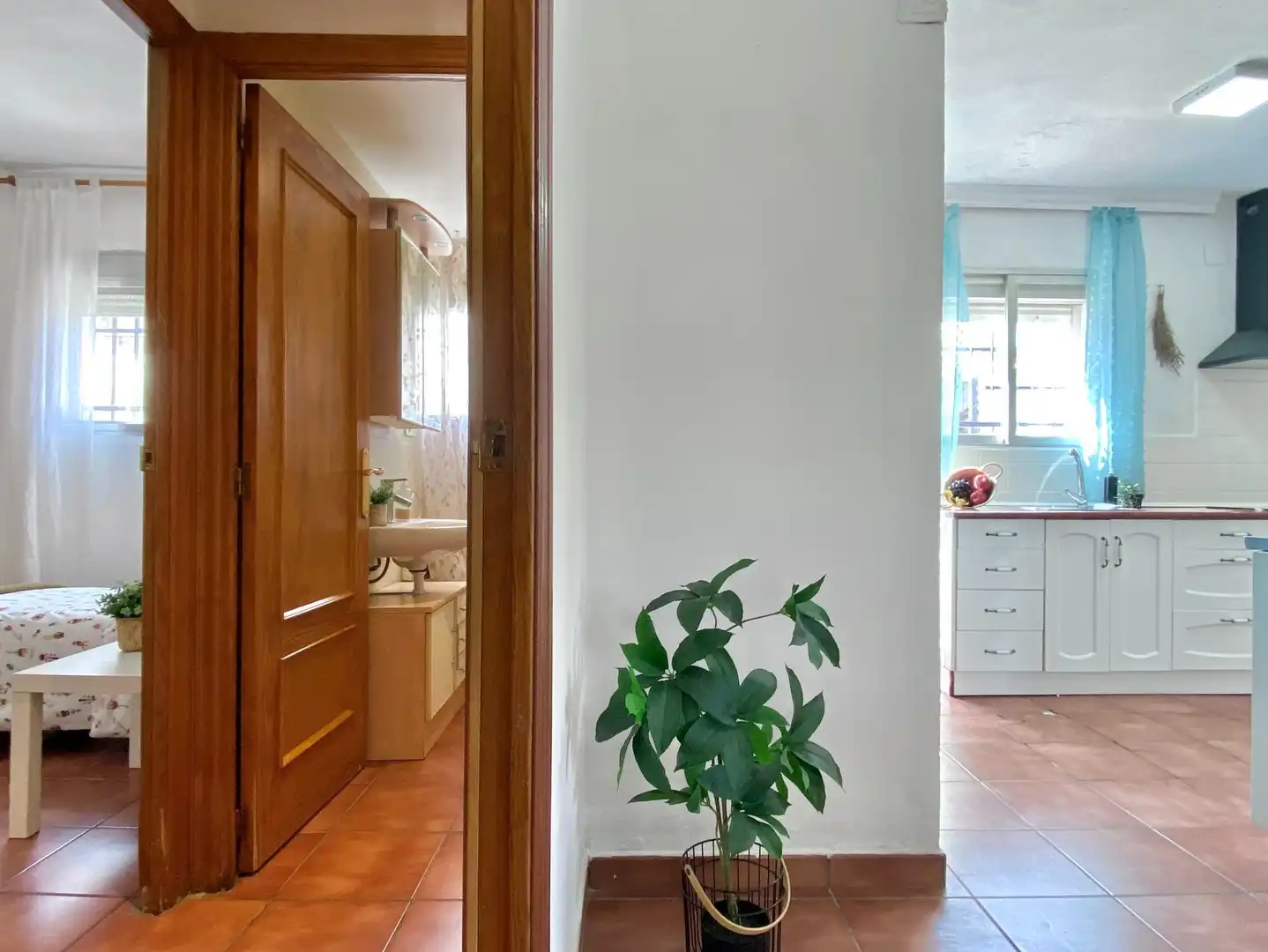 Casa o chalet en venta en Partida Partida Plan de Pavia, 7, Albalat dels Tarongers