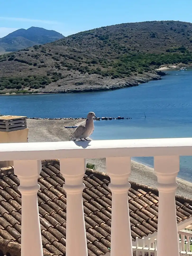 Xalet amb piscina en venda a Carretera MANGA - Villas Romanas, imagen 11