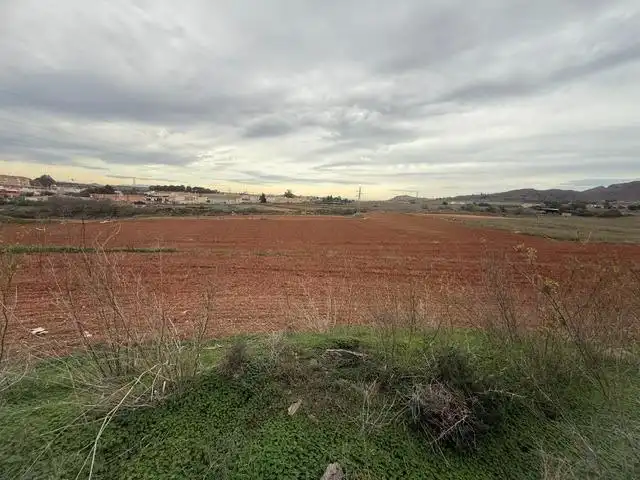 Land for sale in Pedanías Este