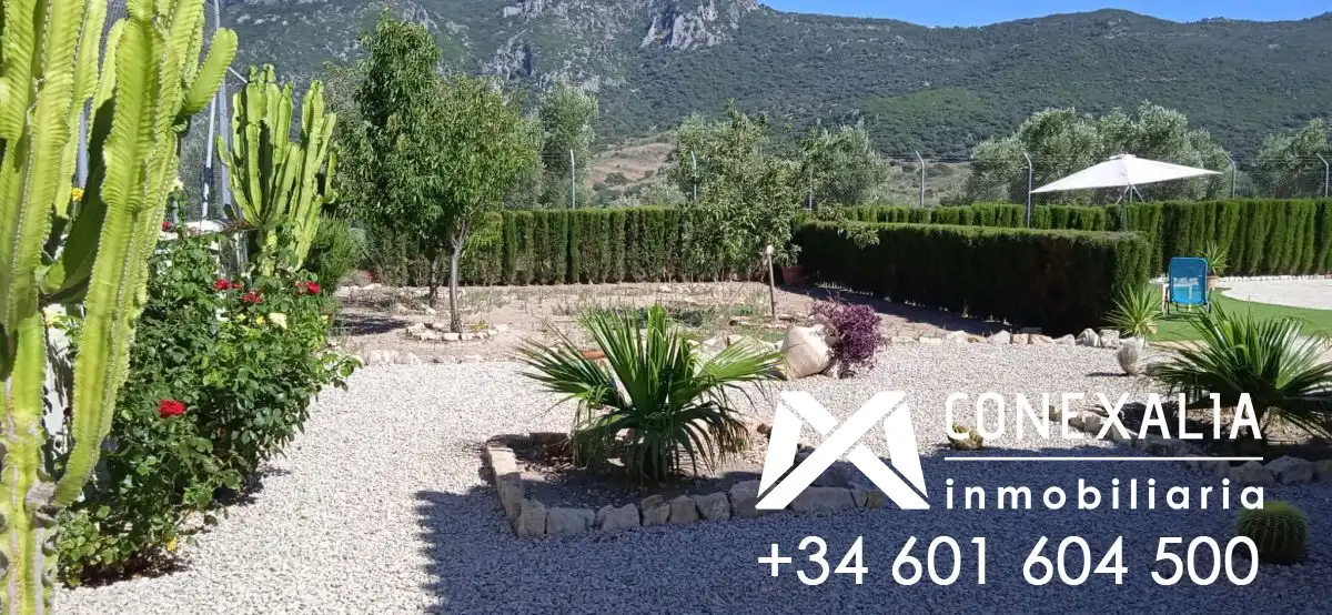 Jardín de Finca rústica en venta en Algodonales con Piscina