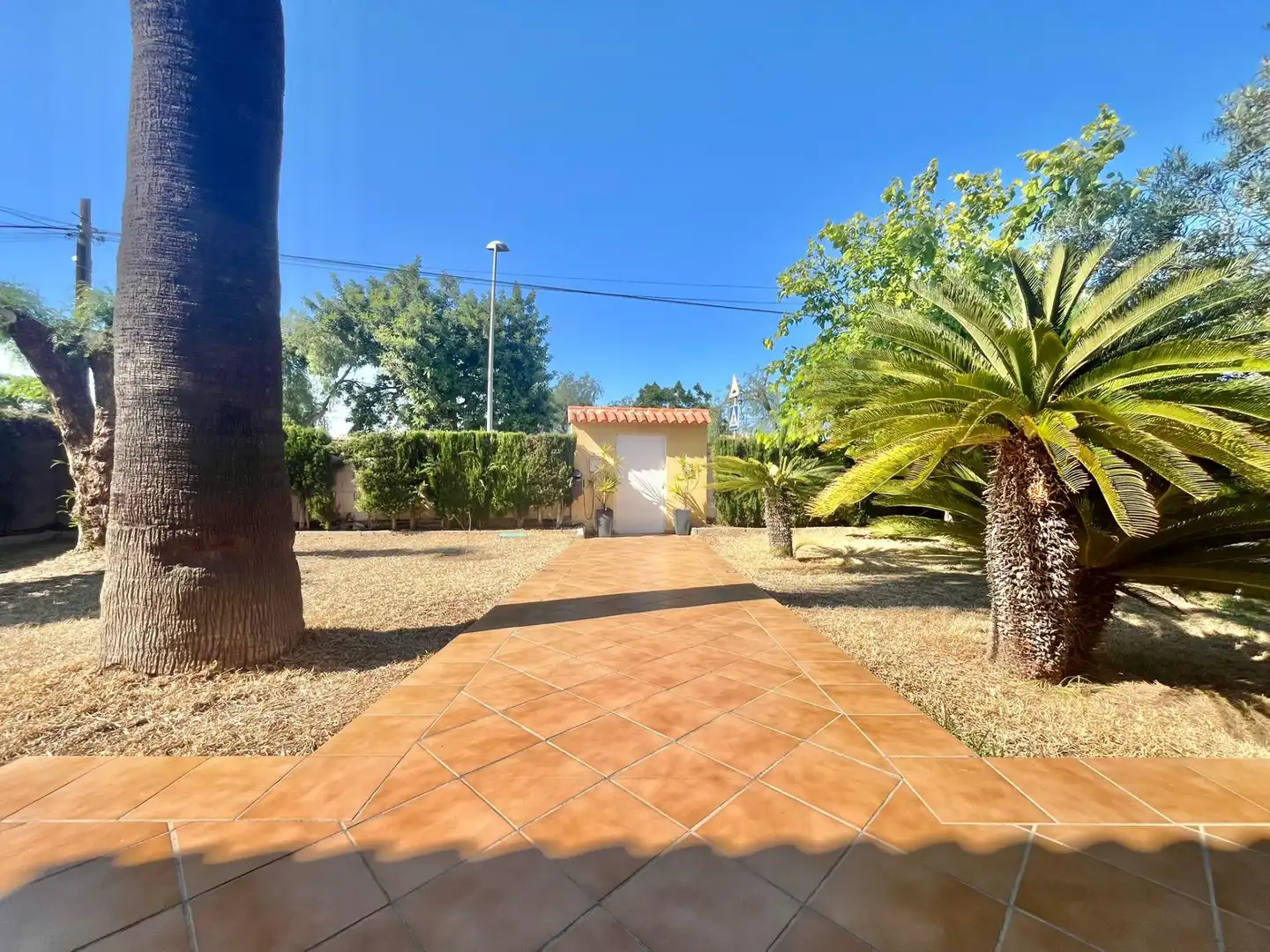Vista exterior de Casa o xalet en venda en Torrevieja amb Aire condicionat, Calefacció i Jardí privat