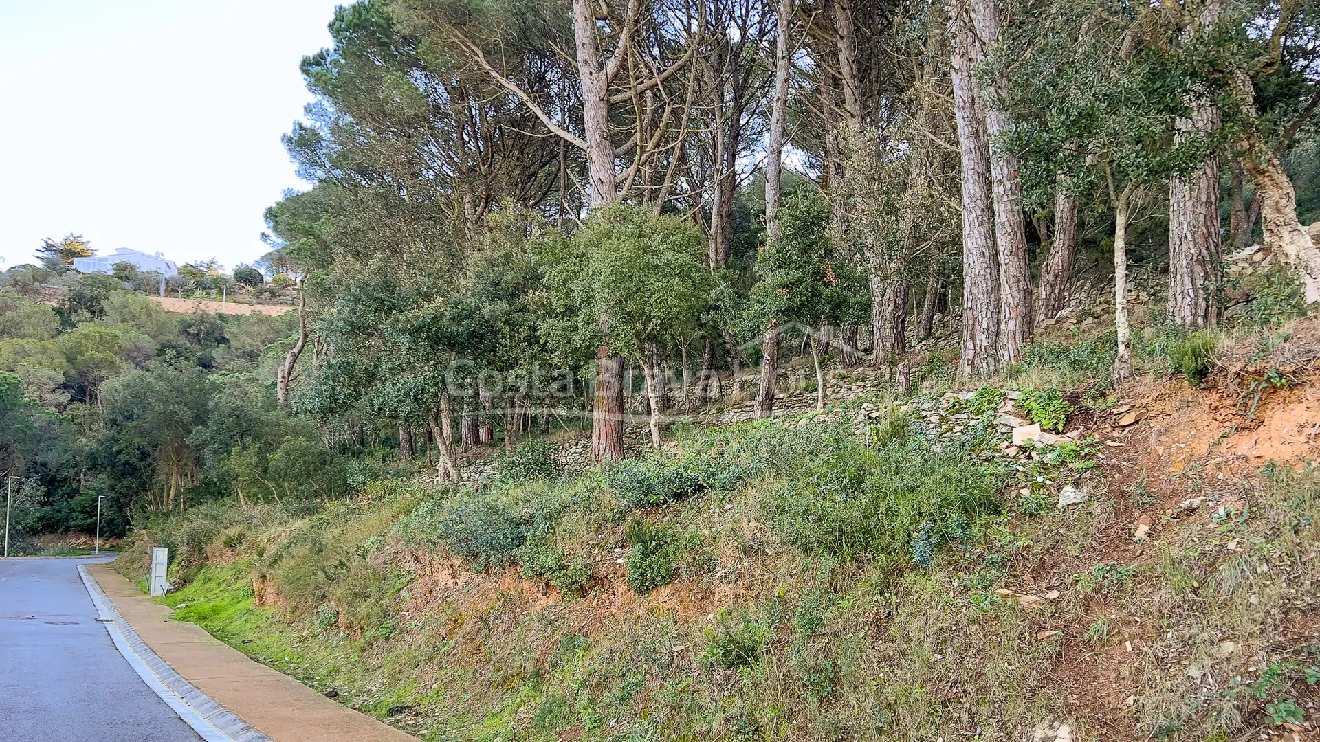 Terrenos y solares en venta en Carrer de Son Rich
