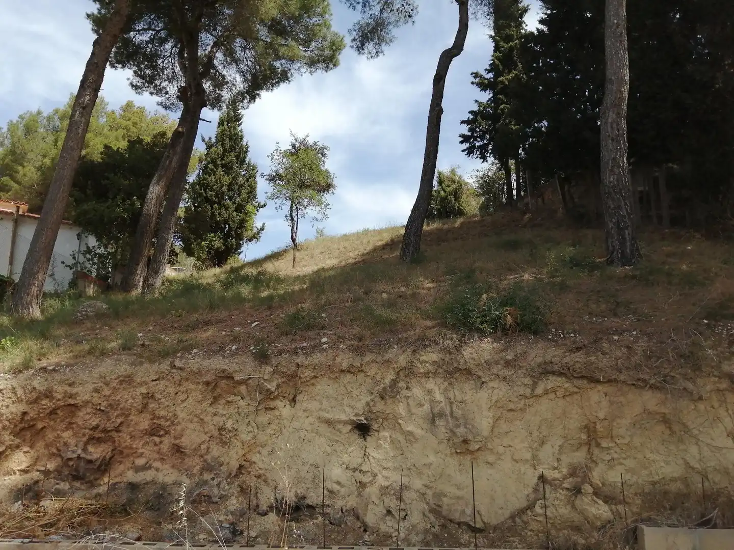 Terreno rustico in vendita a Piera, imagen 3
