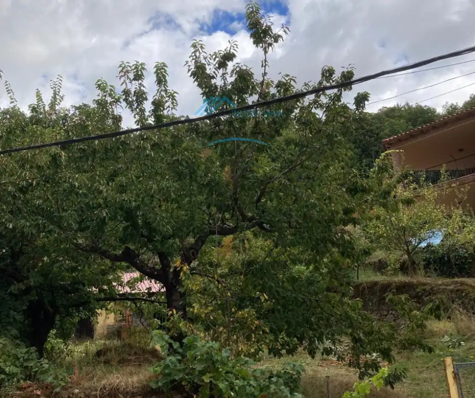 Edificio en venta en Guijo de Santa Bárbara