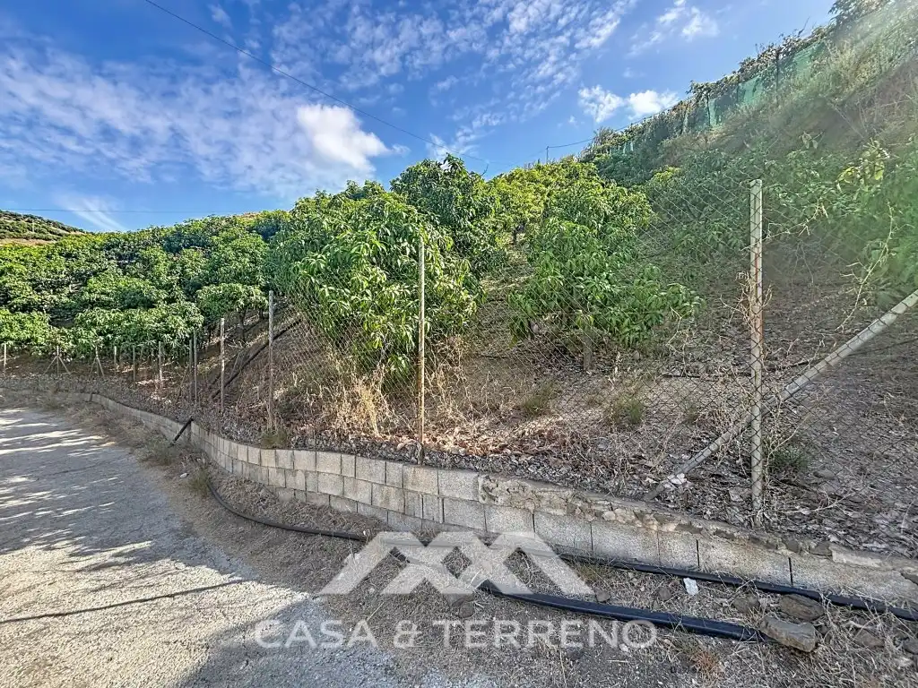 Vista exterior de Casa o chalet en venta en Vélez-Málaga ciudad