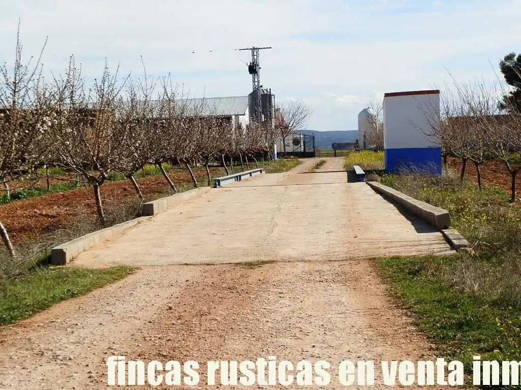 Terreny rústic en venda a Manzanares, imagen 7