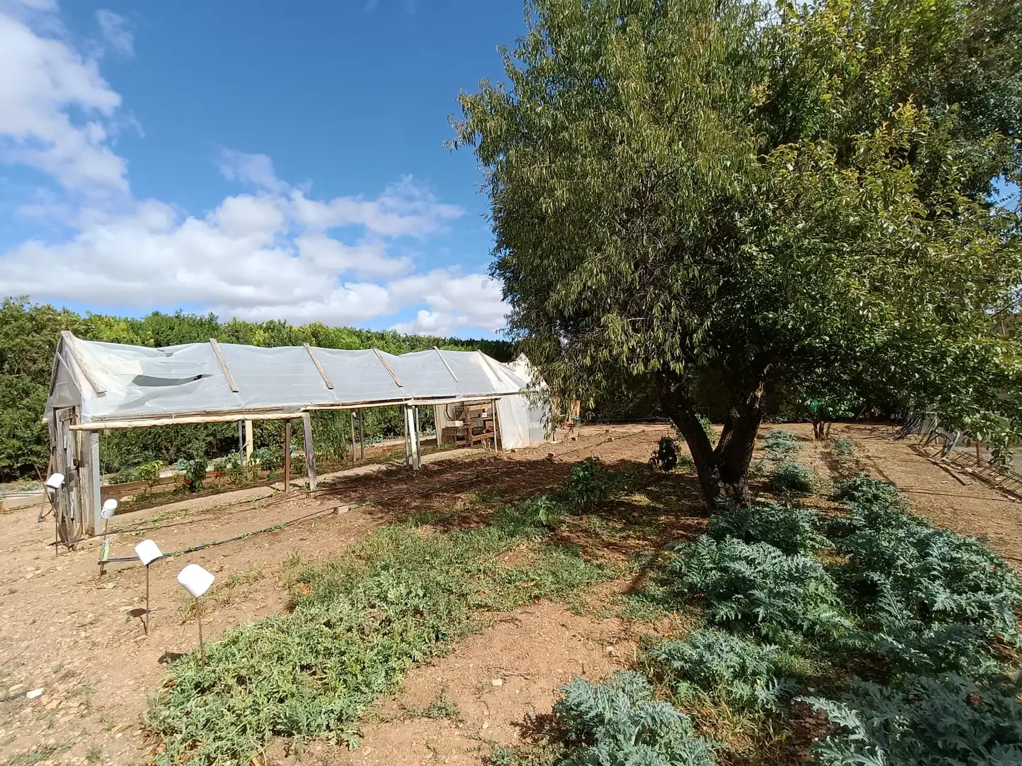 Jardín de Casa o chalet en venta en Ciudad Real con Aire acondicionado, Jardín privado y Piscina