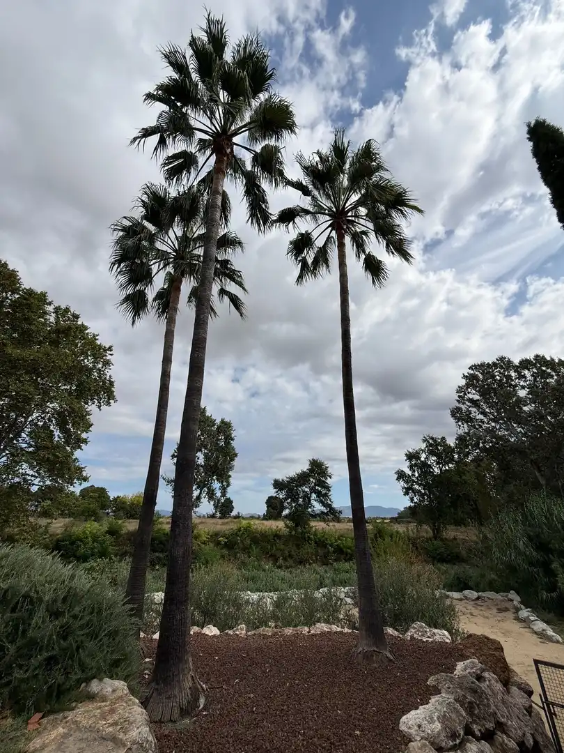 Casa amb piscina en venda a BAIX, imagen 66