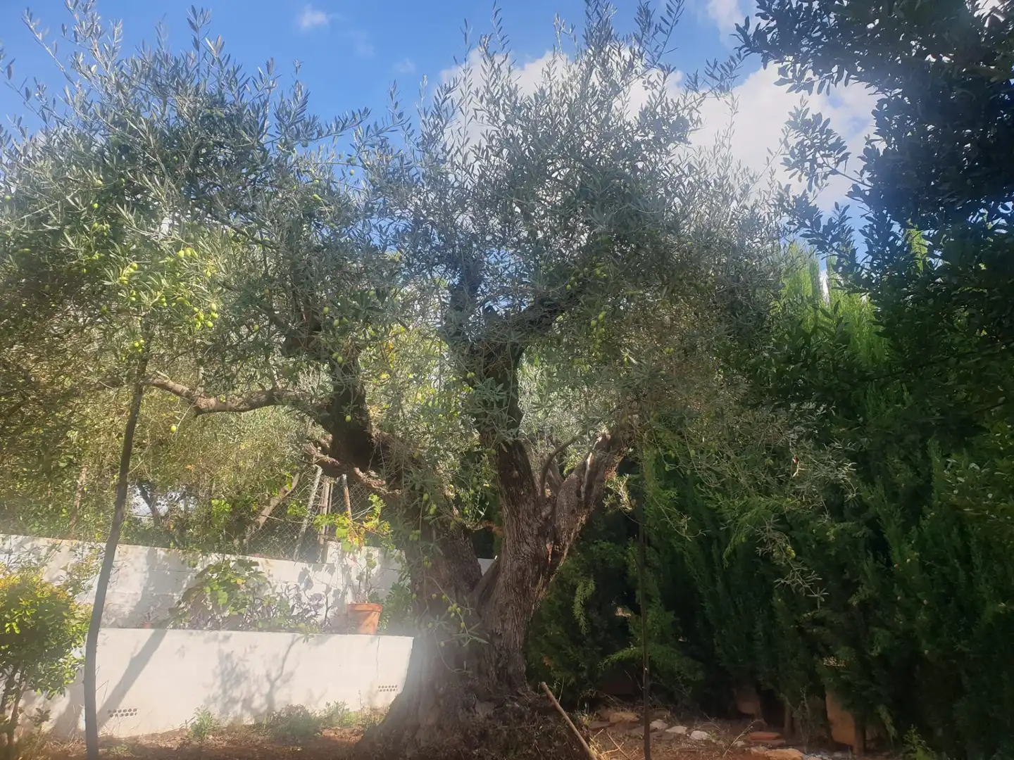 Villa mit Pool zum Verkauf in Onda, imagen 58