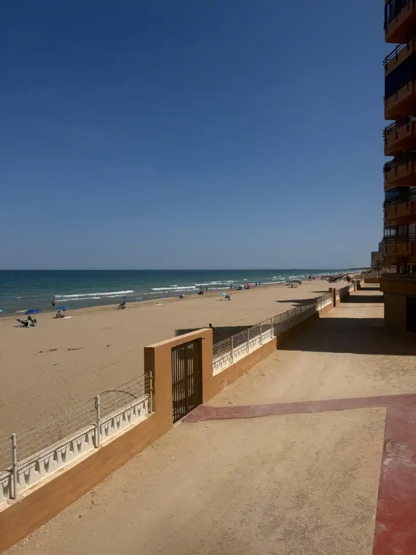 Exterior view of Study for sale in Elche / Elx  with Terrace, Furnished and TV