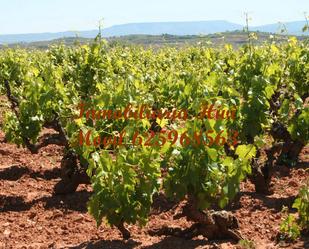 Land for sale in Calle Alange, 7, Almendralejo