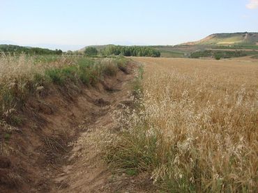 Terreno rustico in vendita a Villamediana de Iregua