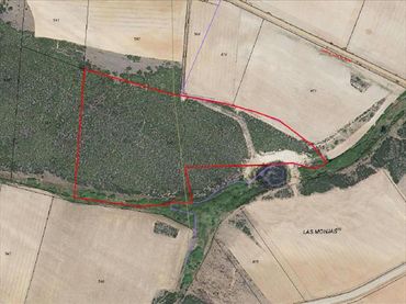 Terreno rustico in vendita a Santa Eufemia del Barco