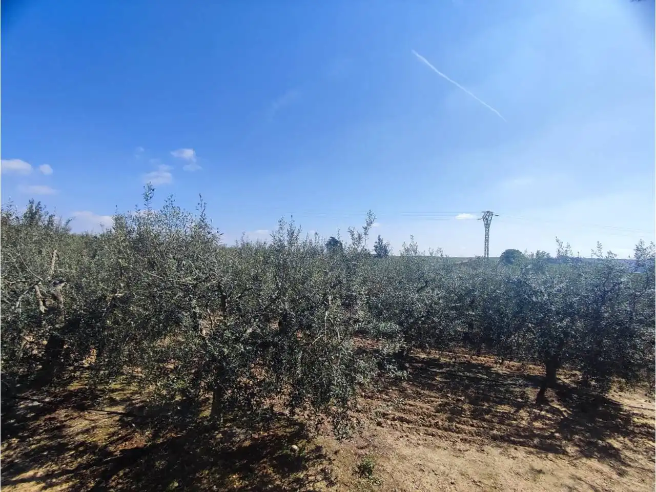 Terreno en venta en Zaidín