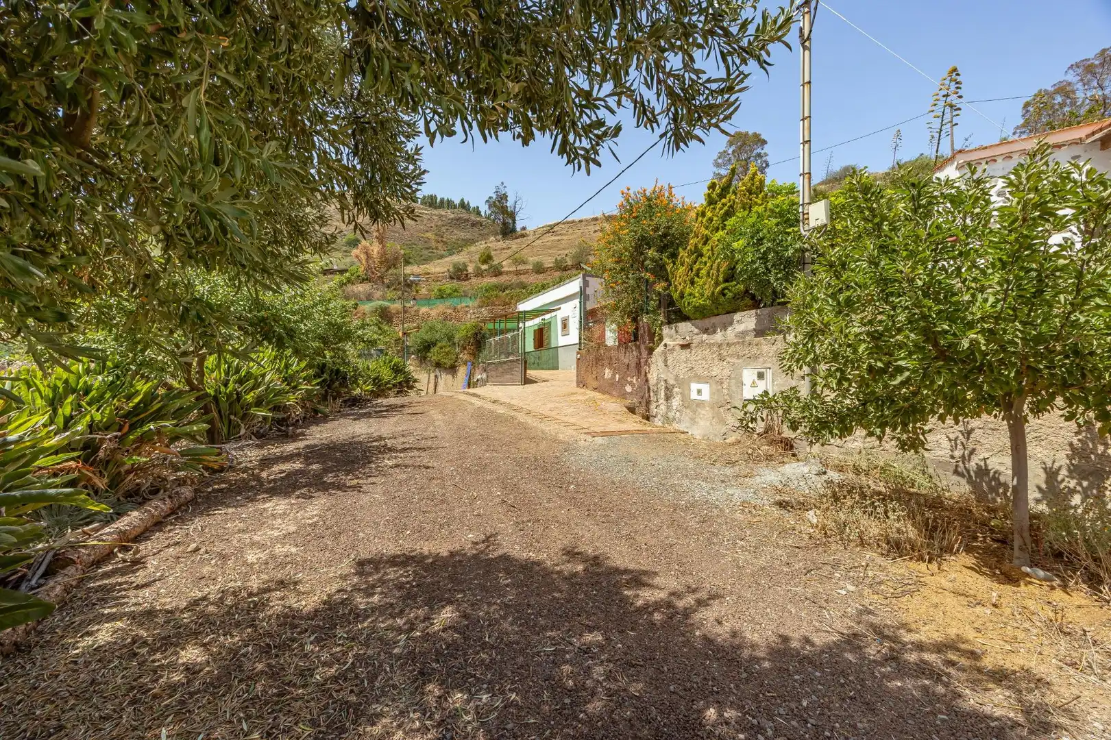 Vista exterior de Finca rústica en venta en Vega de San Mateo con Jardín privado, Terraza y Piscina