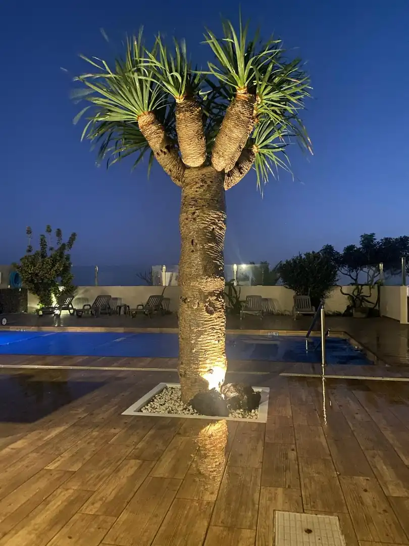 Piscina de Casa o chalet en venta en Tías pueblo