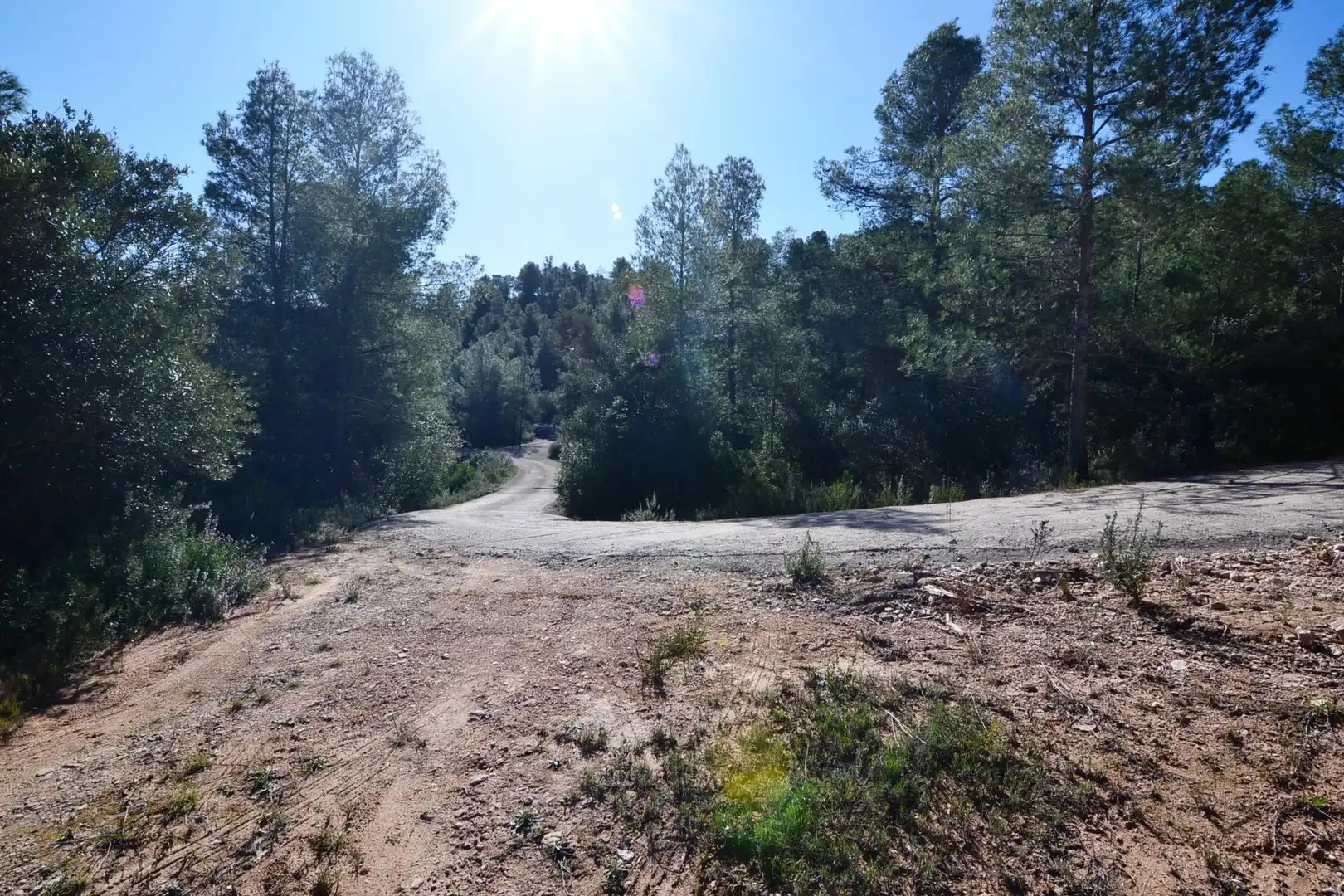 Rural land for sale in Ascó, imagen 46