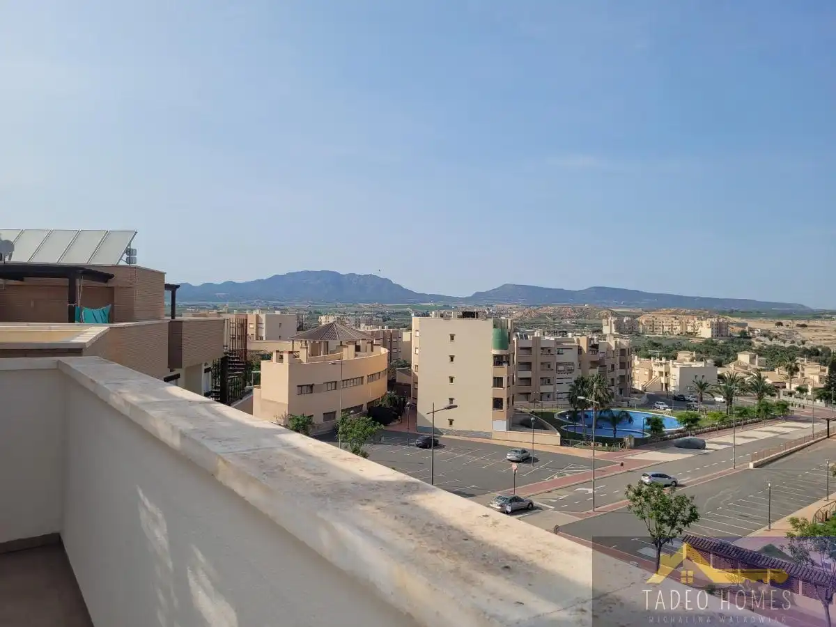 Apartament amb terrassa en venda a Pino Nuevo 6, imagen 32