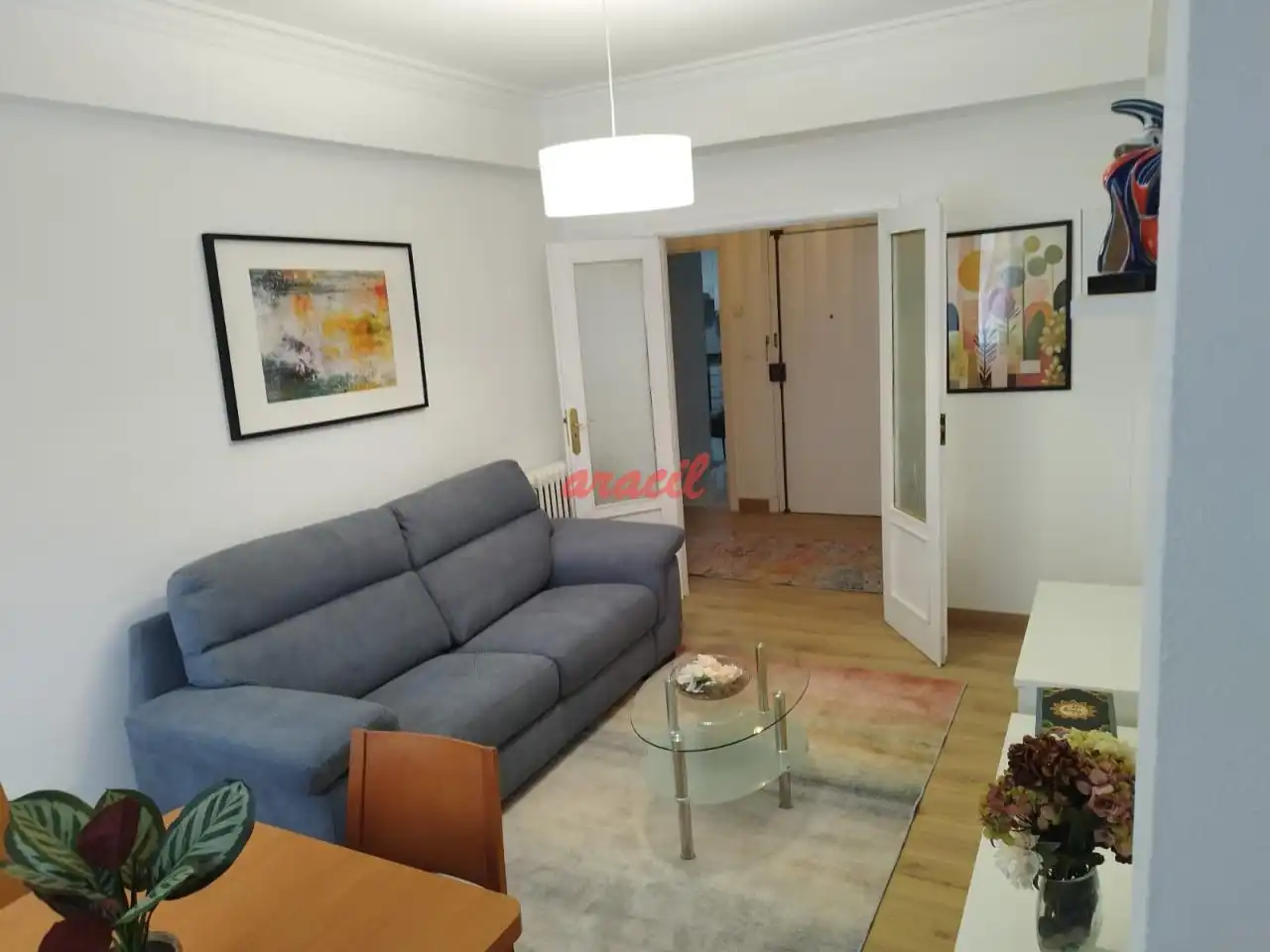 Sala d'estar de Pis de lloguer en Ourense Capital  amb Calefacció, Parquet i Terrassa