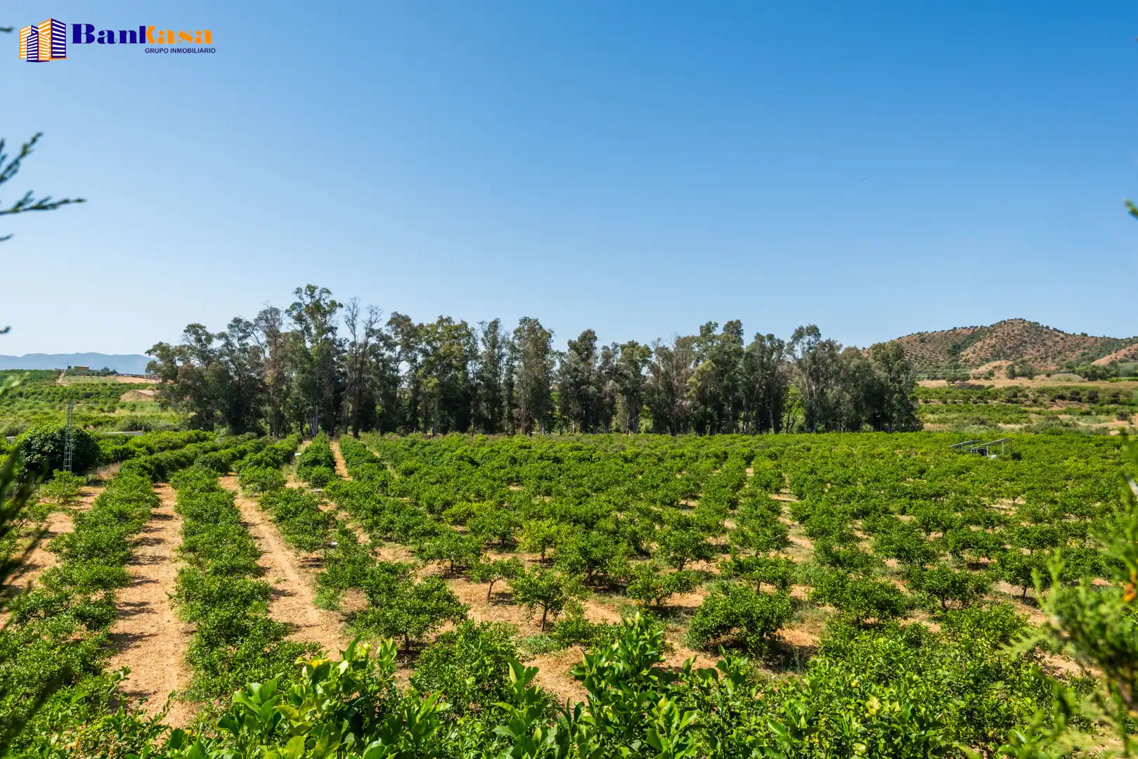 Terreno en venta en Pizarra