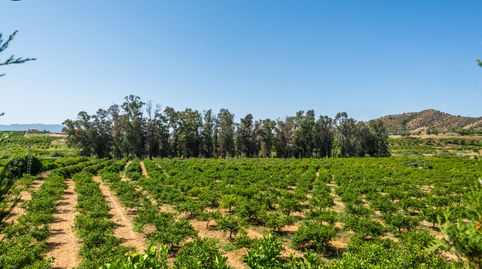 Photo 4 of Land for sale in Pizarra, Málaga