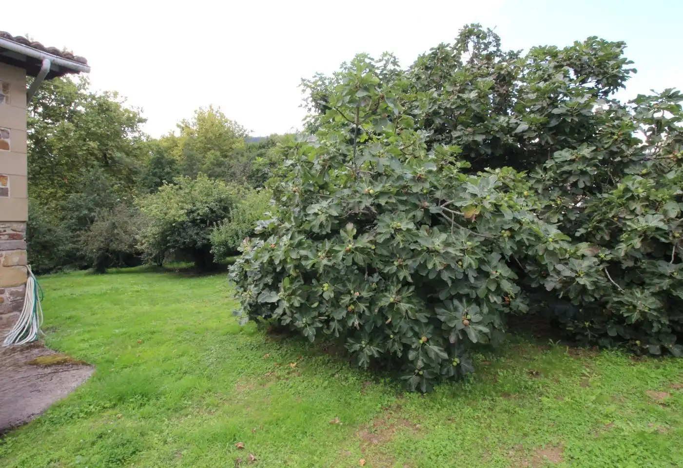 Jardín de Finca rústica en venta en Oñati con Calefacción, Jardín privado y Terraza