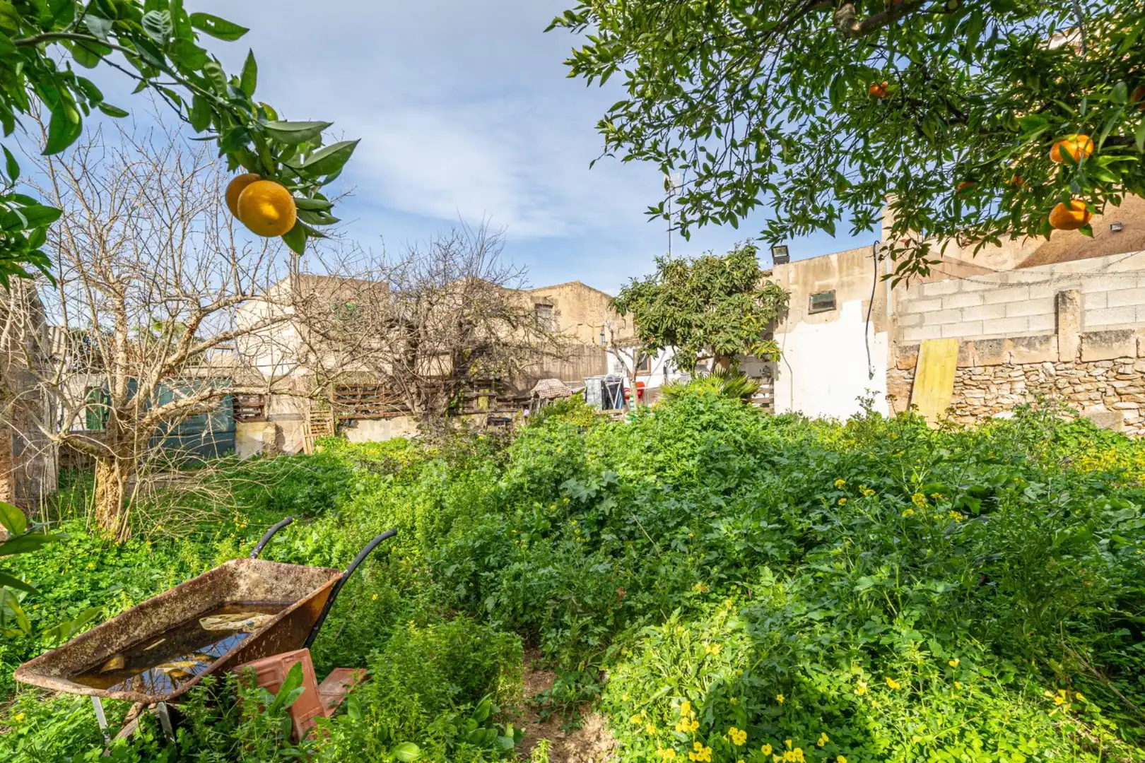 Jardí de Casa o xalet en venda en Felanitx