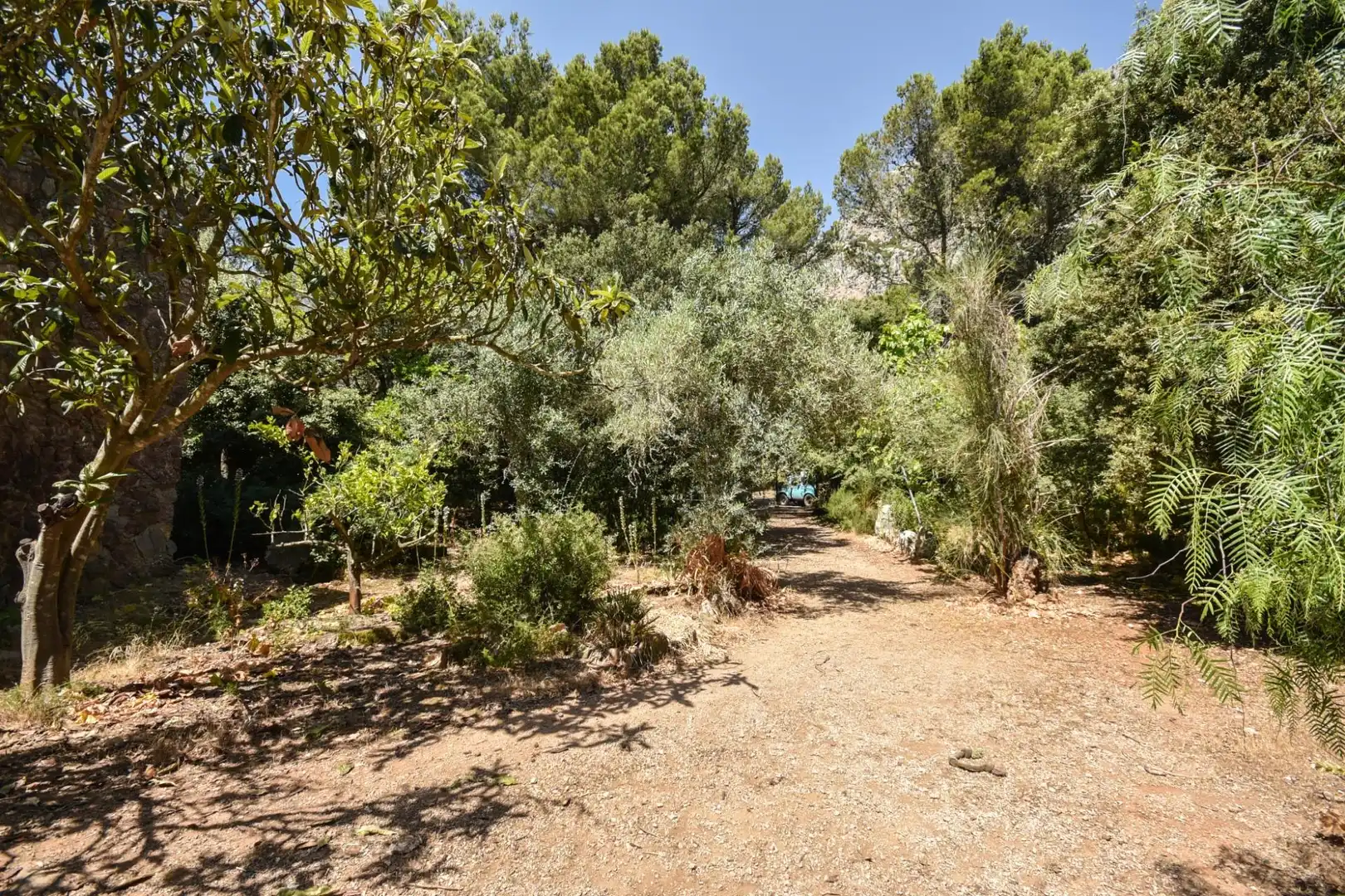 Jardín de Finca rústica en venta en Puigpunyent con Trastero
