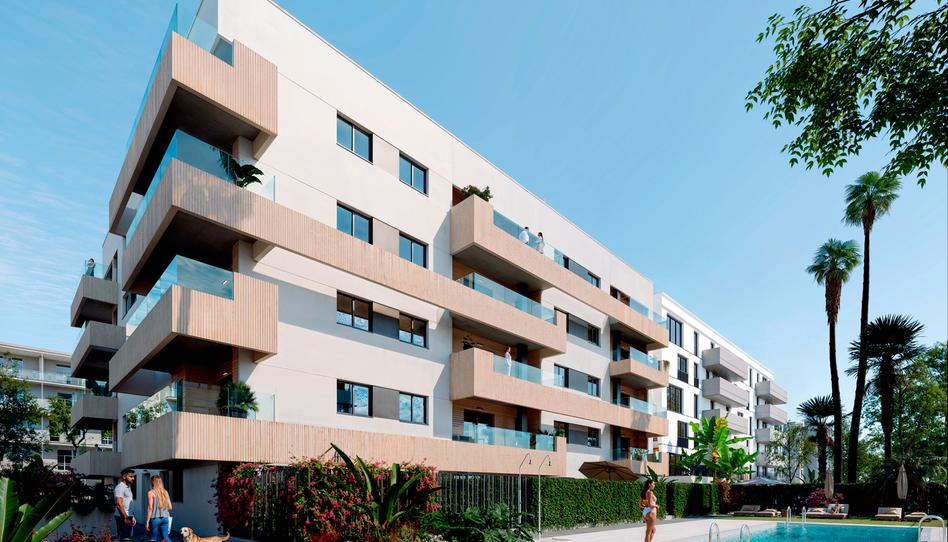 Photo 0 of Promotion PUNTAL DE ALBATROS