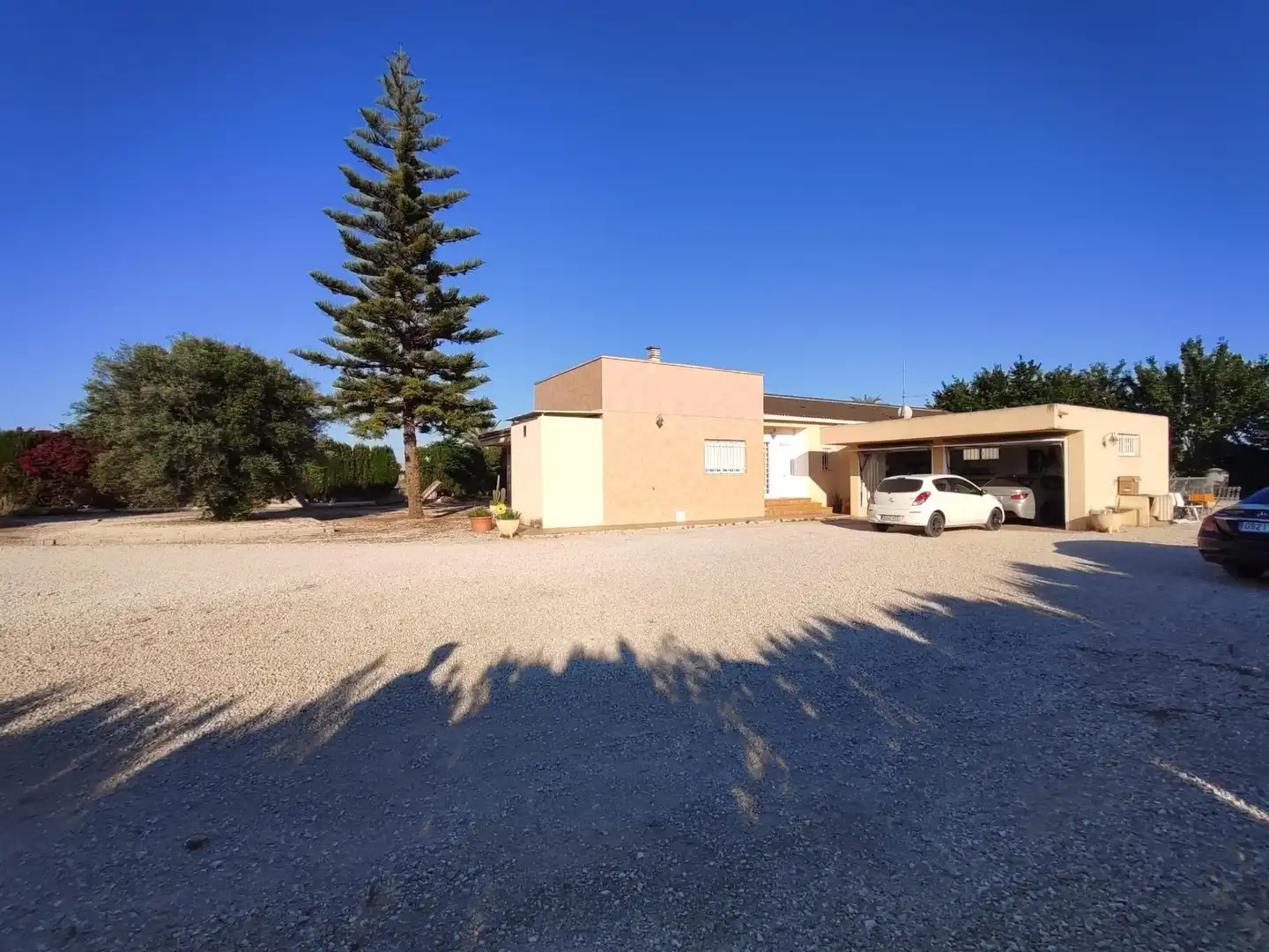Vista exterior de Casa o chalet en venta en Almoradí con Aire acondicionado y Alarma