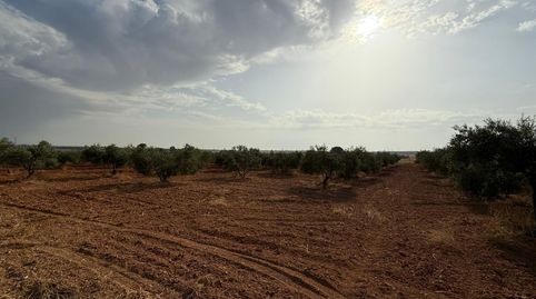 Foto 2 de Terreno en venta en Carmona, Sevilla