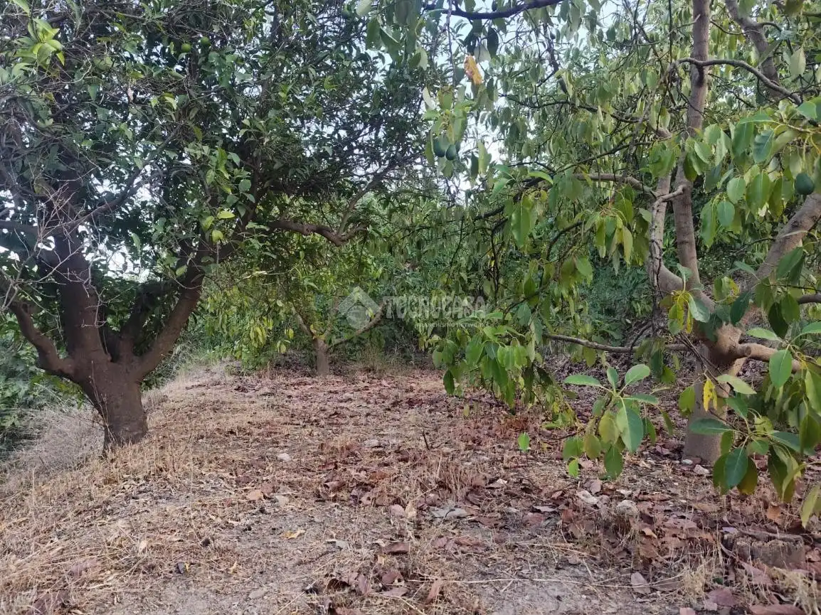 Terreno rustico in vendita a Los Guájares, imagen 3