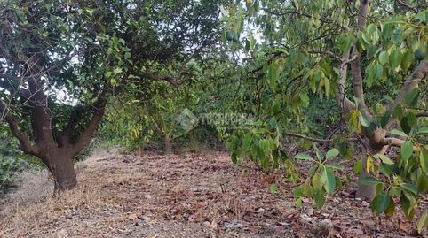 Terrenos en venta en Los guajares, imagen 3