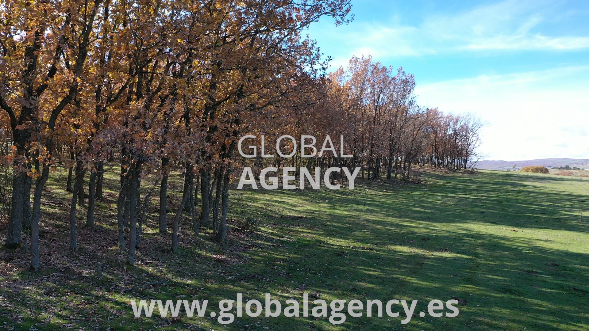 Land for sale in El Espinar