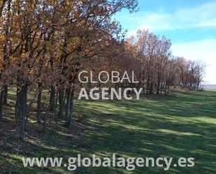 Land for sale in El Espinar