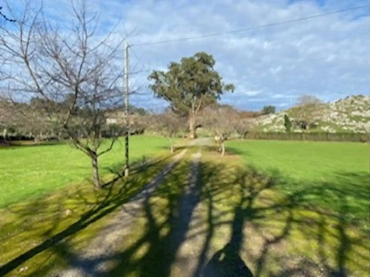 Maison avec jardin à vendre à Carretera camango, oreyana, imagen 9