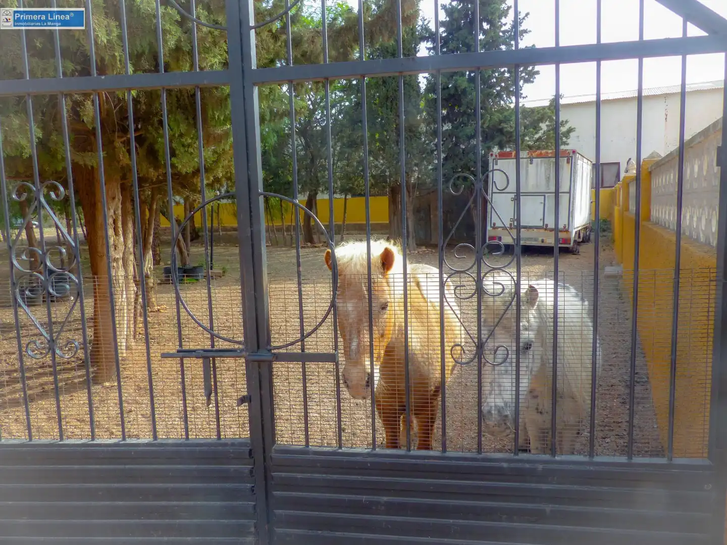 Vista exterior de Finca rústica en venda en Fuente Álamo de Murcia amb Calefacció, Jardí privat i Terrassa