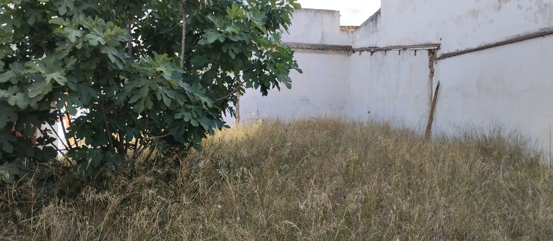 Terreni e lotti in vendita a Avenida de Andalucia, imagen 5