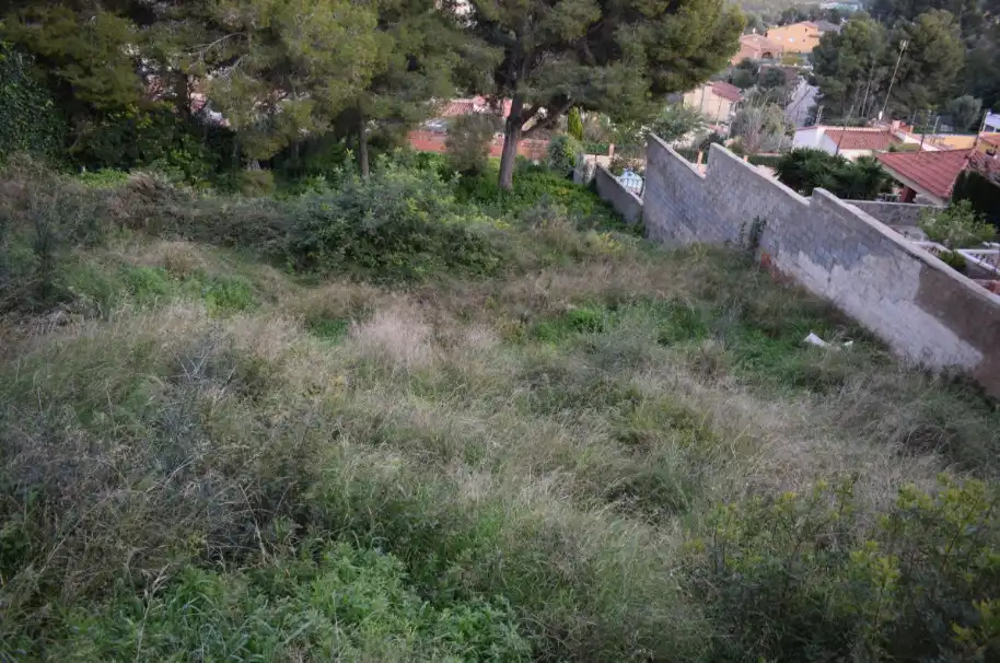 Rural land for sale in Bellvei, imagen 7