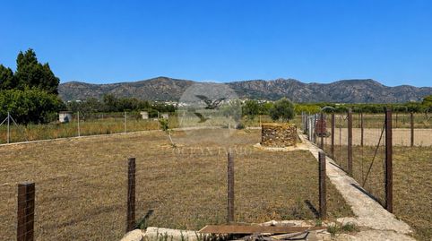 FINCA RÚSTICA DE 799 M EN PAU CON POZO, immagine 4